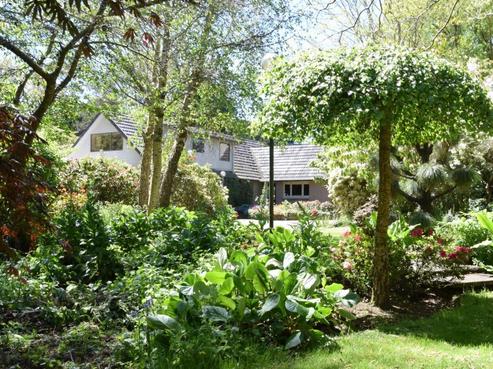 169 Roslyn Road, Roslyn Bush