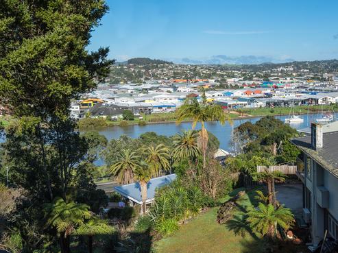 20 Punga Grove Avenue, Riverside