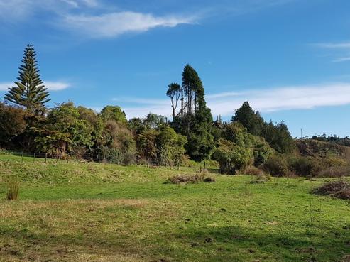 336 Woodstock-rimu Road, Hokitika