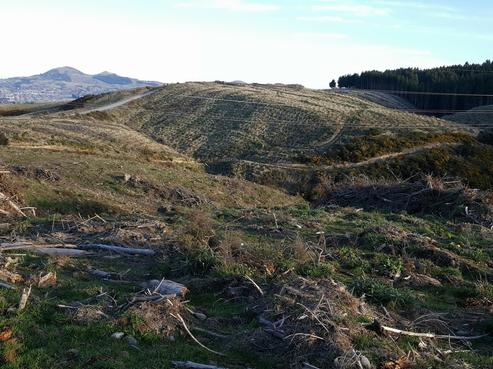 275 Taioma Road, North Taieri