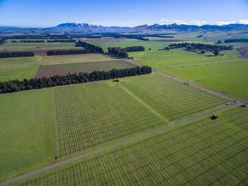 27P Bain Road, Waipara