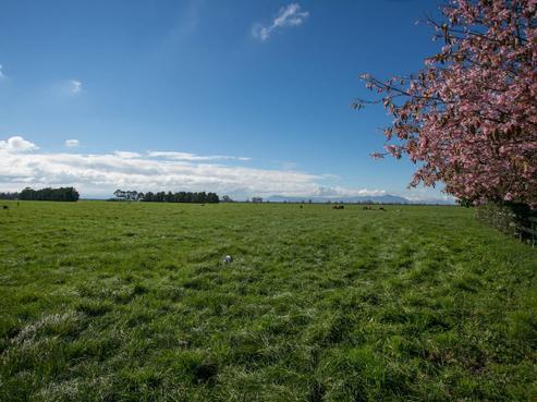 170 Tramline Road, Kaihere