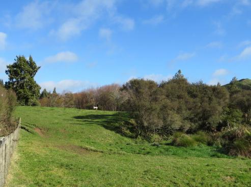 4 Riley Place, Owhango