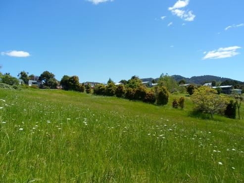 8 Beacondale Place, Kamo