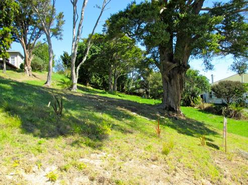 11 Mcdonell Street, Rawene