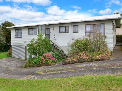113 Brian Crescent, Stanmore Bay