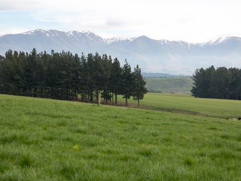 735 Esk Valley Road, Otaio