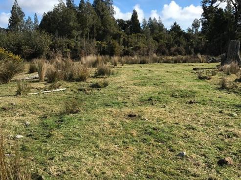 2864 Haast Highway, Bruce Bay