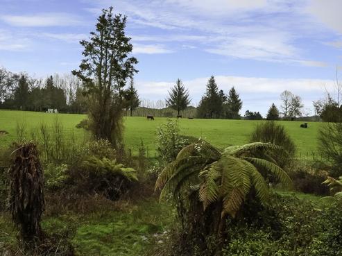 10 Owhango Road, Owhango