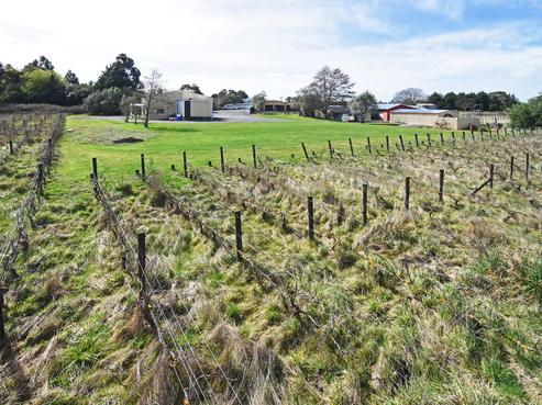 119 Solway Crescent, Solway