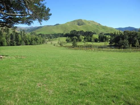 200 Falloon Settlement Road, Upper Plain