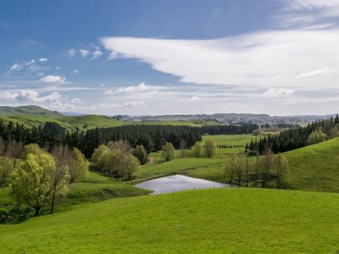 313 Nicholls Road, Central Hawkes Bay Country