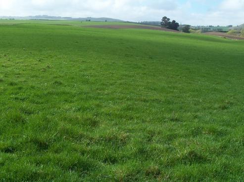 114 Woolshed Road, Maheno