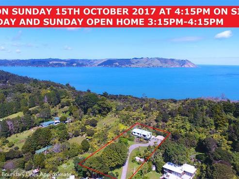 81 Cornwallis Road, Cornwallis
