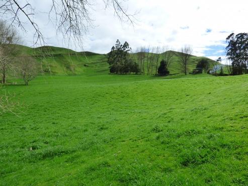 142 Dods Road, Waikite Valley