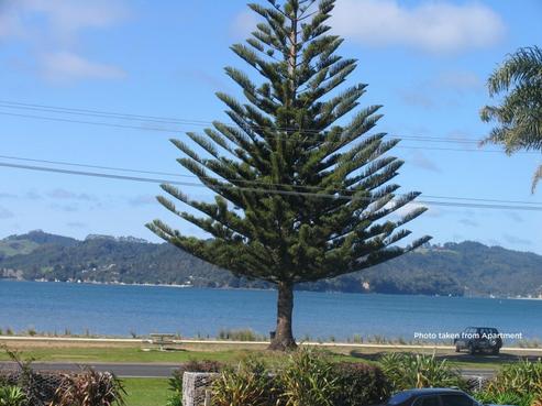22/1 Centennial Drive, Whitianga