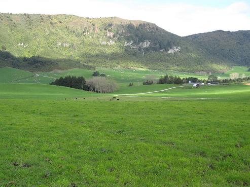 430 Te Kopia Road, Waikite Valley