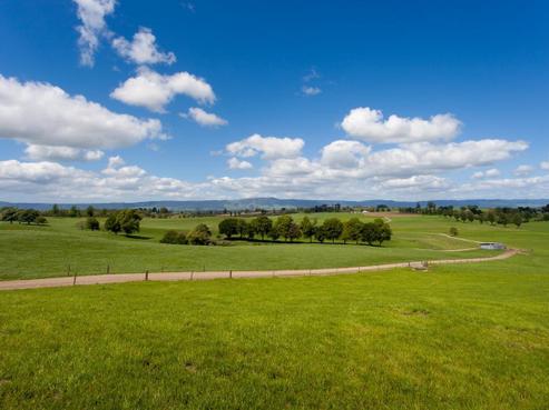 314 Puketutu Road, Matamata