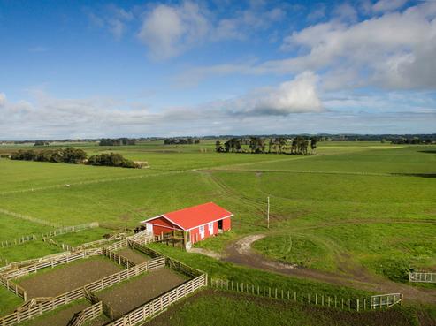 1265 Roberts Line, Bunnythorpe