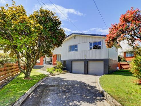 37 Chesterman Road, Riverlea