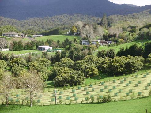 329 Thompsons Track, Aongatete