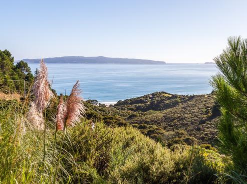 312 Black Jack Road, Kuaotunu