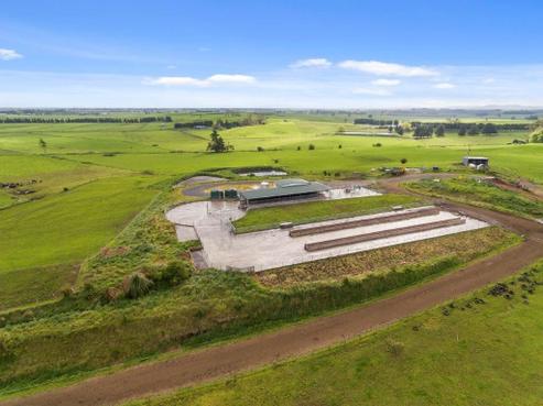 21 Grayden Road, Morrinsville