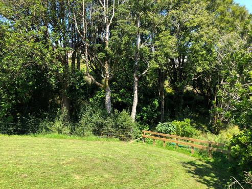 335 Mangorei Road, Merrilands
