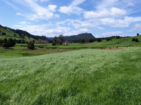 1834 Ongarue Back Road, Waimiha-Ongarue