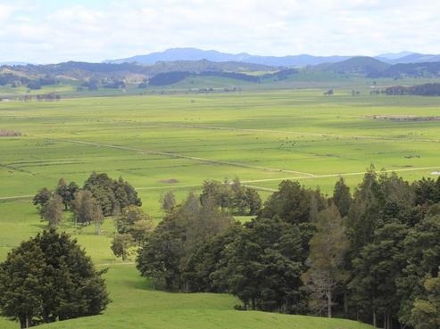 68 Mountain View Road, Hikurangi