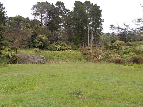 43 Terry Smyth Drive, Kumeu