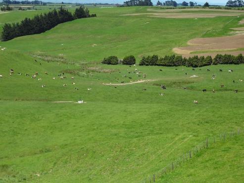 354 Manawatu River Road, Norsewood