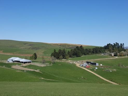 595 Wilden Runs Road, West Otago Surrounds