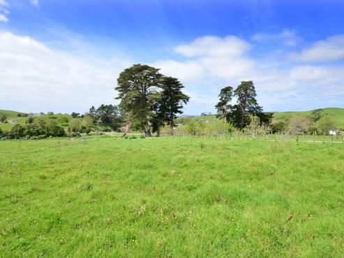 19 Borrows Road, Wellsford