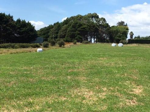 7 Andrew-Pye Road, Manukau Heads