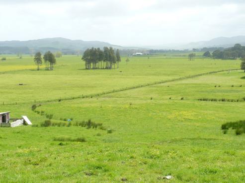 1153 Opanake Road, Dargaville Surrounds