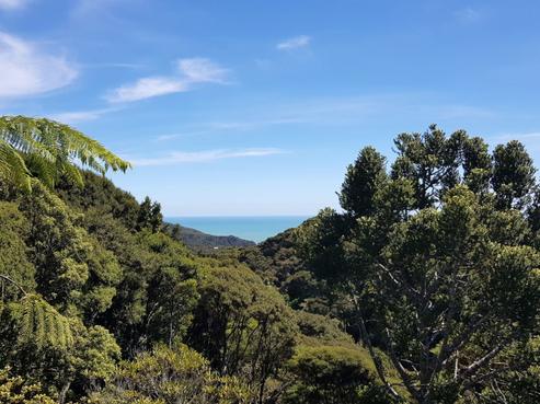 8 La Trobe Track, Karekare