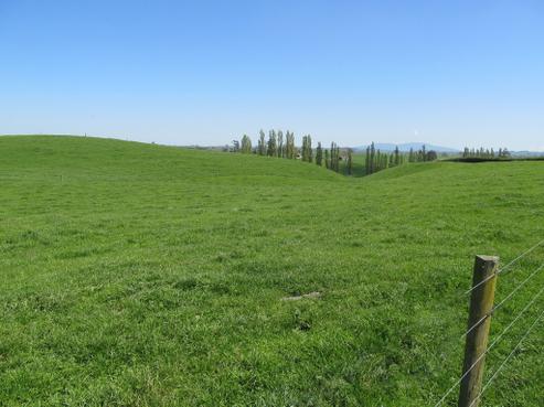 220 Waiomou Road, Tapapa
