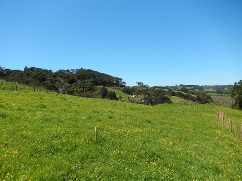 194 Pinchgut Road, Kaukapakapa