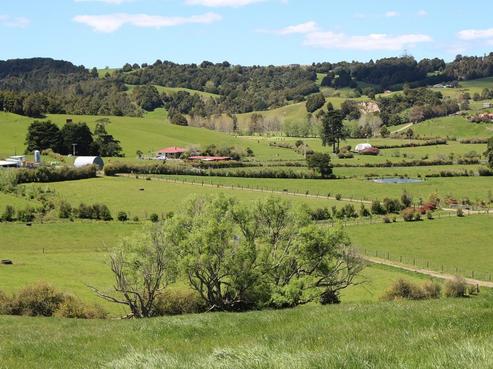 127 Umuwhawha Road, Hukerenui and Surrounds