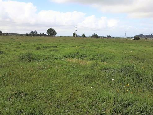 741 Wiroa Road, Okaihau