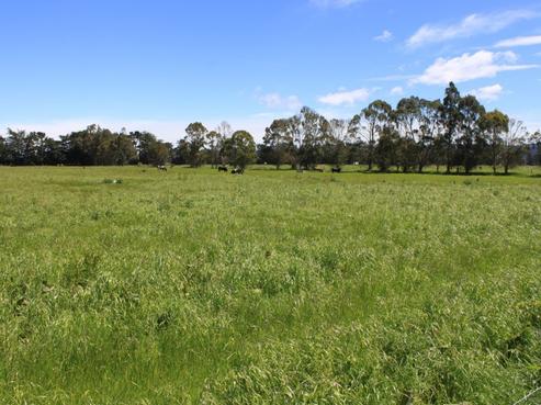 11 Henley-berwick Road, Henley