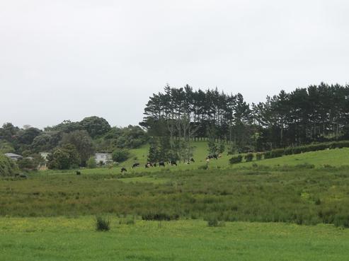 12 Beach Road, Glenbrook