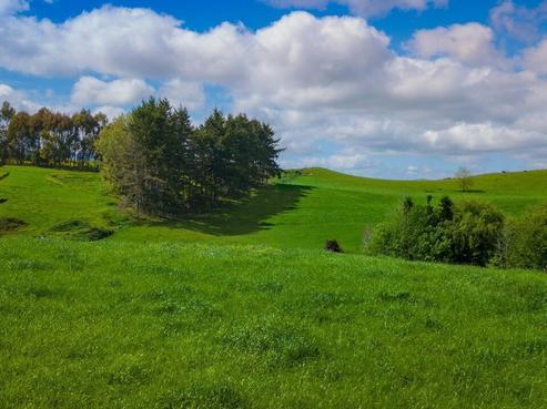 64 Tirohanga Road, Rotoorangi