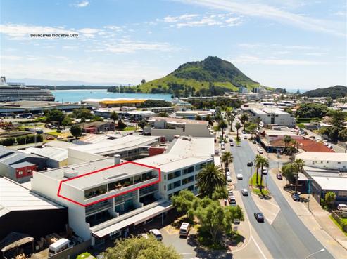6 Tawa Street, Mount Maunganui
