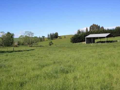 159 Bobbing Creek Road, Duntroon