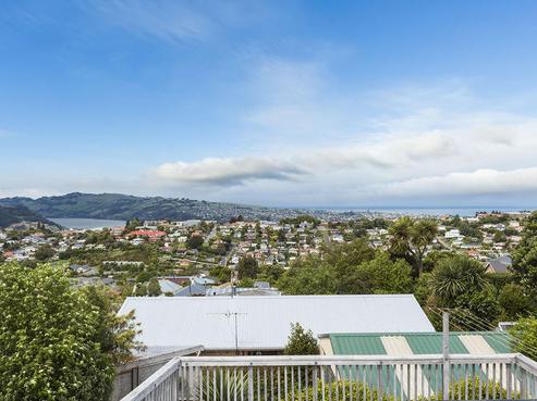 22 Mount Street, Wakari