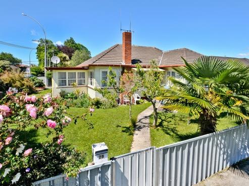 28 Bains Avenue, Hamilton East