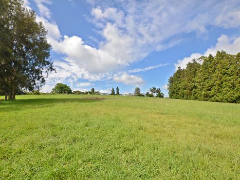 217 Apotu Road, Kauri