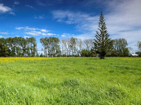 360 Hauraki Road, Turua